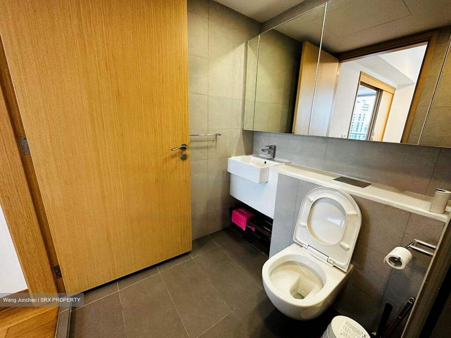 Eight Riversuites (D12), Condominium #496628621